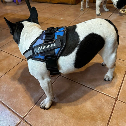 Personalized No Pull Dog Harness