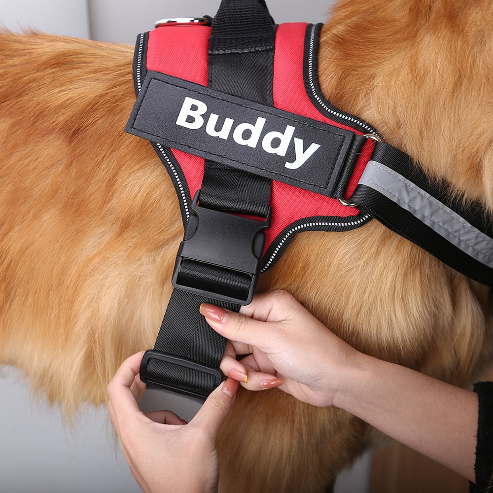 Personalized No Pull Dog Harness