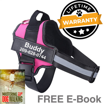 Personalized No Pull Dog Harness